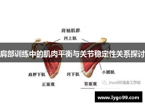 肩部训练中的肌肉平衡与关节稳定性关系探讨